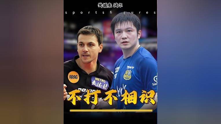 文章配图-2